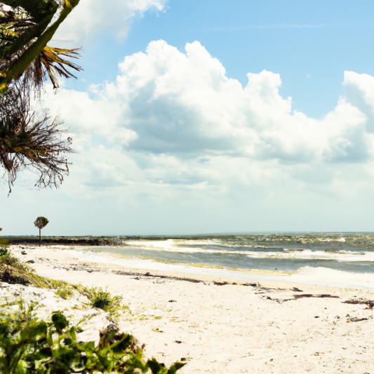 4 the Gals: Embracing Sustainable Swimwear for a Better Future