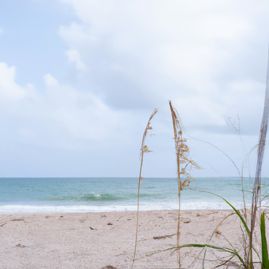 Unleashing Your Inner Confidence: The Power of Swimwear for Empowerment