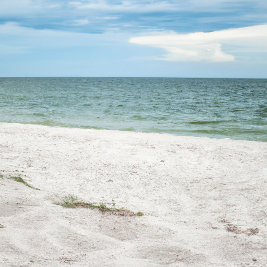 Sustainable Swimwear Guide: Dive into Eco-Friendly Options with 4 the Gals