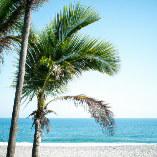 Embrace Your Body: Boost Confidence in a Swimsuit with 4 the Gals