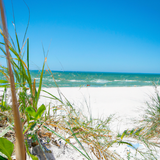 Dive Into Confidence: Mastering Mix-and-Match Swimsuits with 4 the Gals