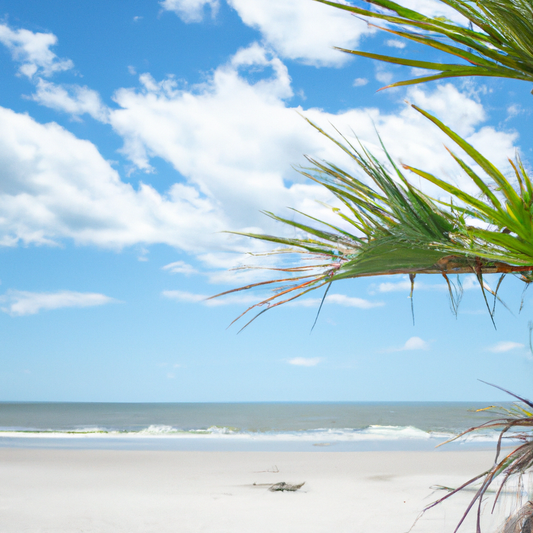 Celebrating All Sizes in Swimwear: Embracing Body Positivity and Self-Love | 4 the Gals