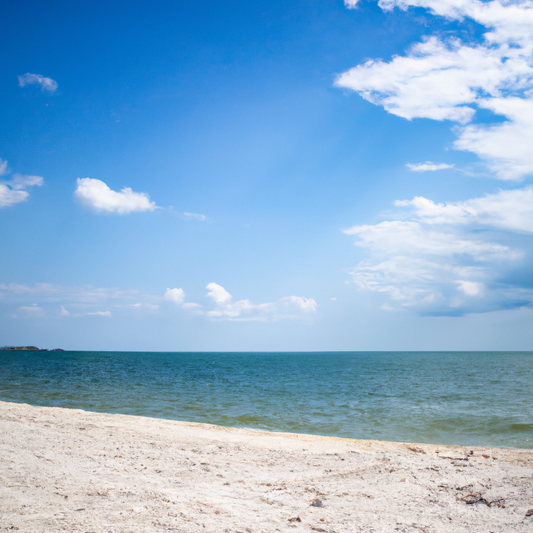 The Swimsuit Revolution: Embrace Sustainability with 4 the Gals