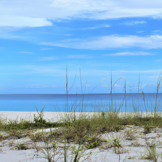 4 the Gals: The Top Swimsuit Trends for this Season