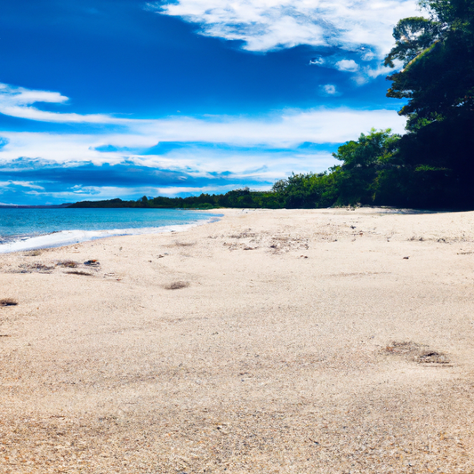 Embrace Your Body: Premium Swimsuits for Confidence and Style