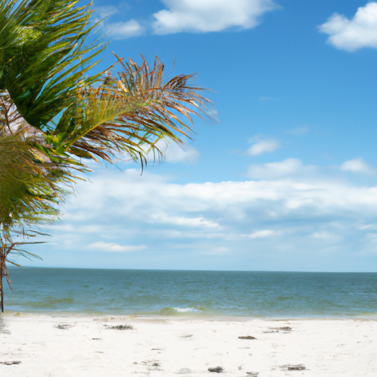 4 the Gals: The Sustainable Swimsuit Revolution - Making Eco-Friendly Choices