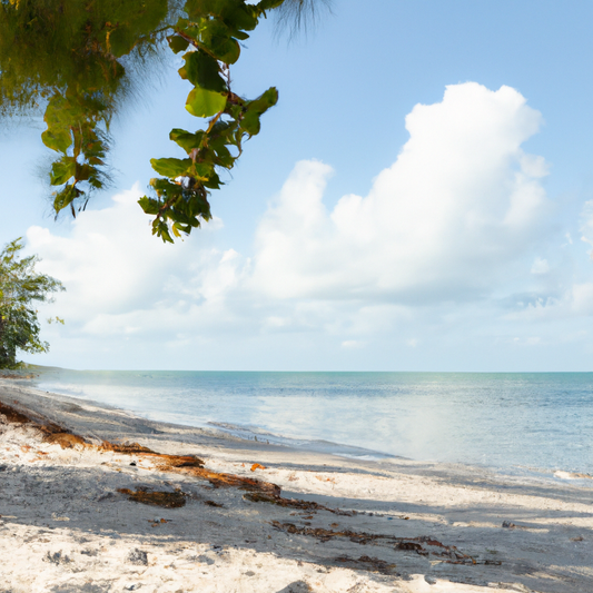 Embracing Every Body Shape: Finding Your Perfect Swimsuit with 4 the Gals