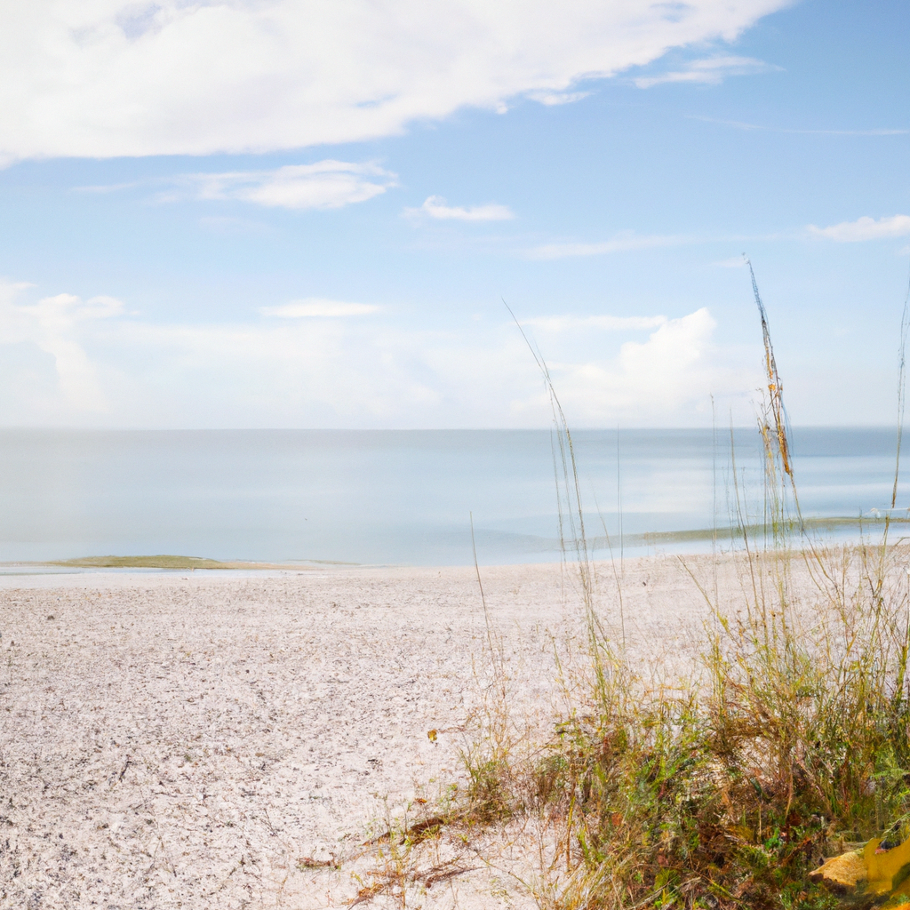 The Ultimate Beach Bag Essentials: Must-Have Items for Teenage and College Women