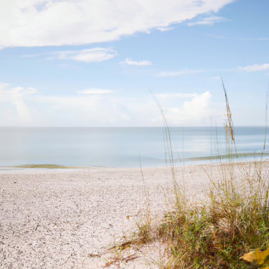 The Ultimate Beach Bag Essentials: Must-Have Items for Teenage and College Women
