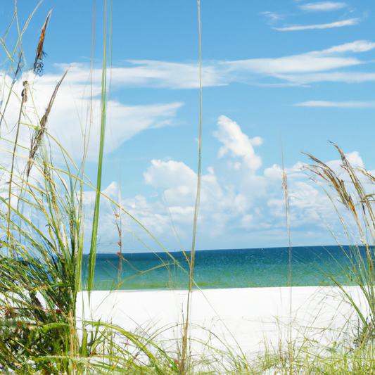 4 the Gals: Sustainable Swimwear - Caring for the Planet while Looking Fabulous