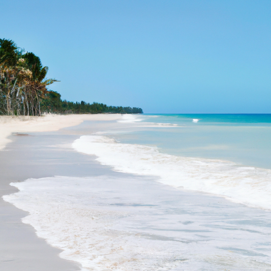 Unveiling the Benefits of Premium Swimsuits - Dive into Quality with 4 the Gals