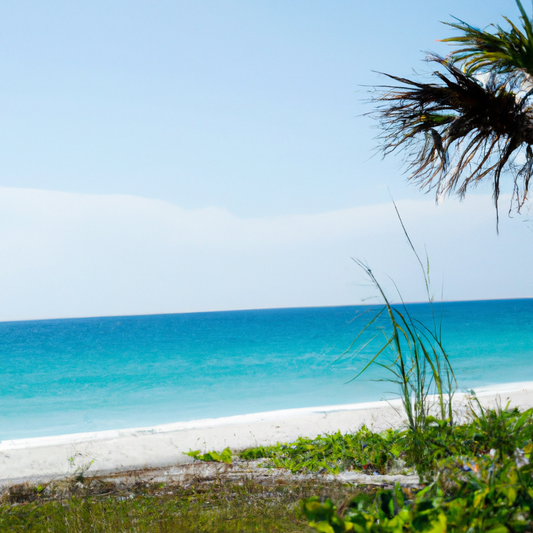 4 Tips to Keep Your Swimsuits Looking Fabulous - Swimsuit Care Guide