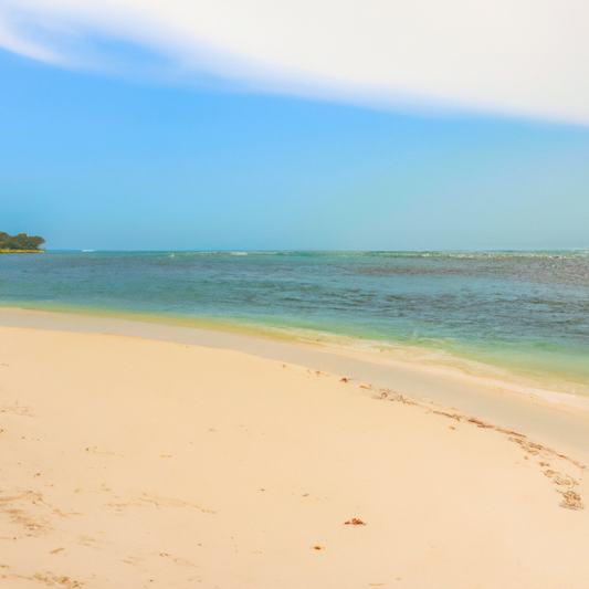 Embrace the Morning Beach Routine: Enhance Your Day with 4 the Gals Swimsuits